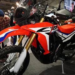 CRF250 Rally